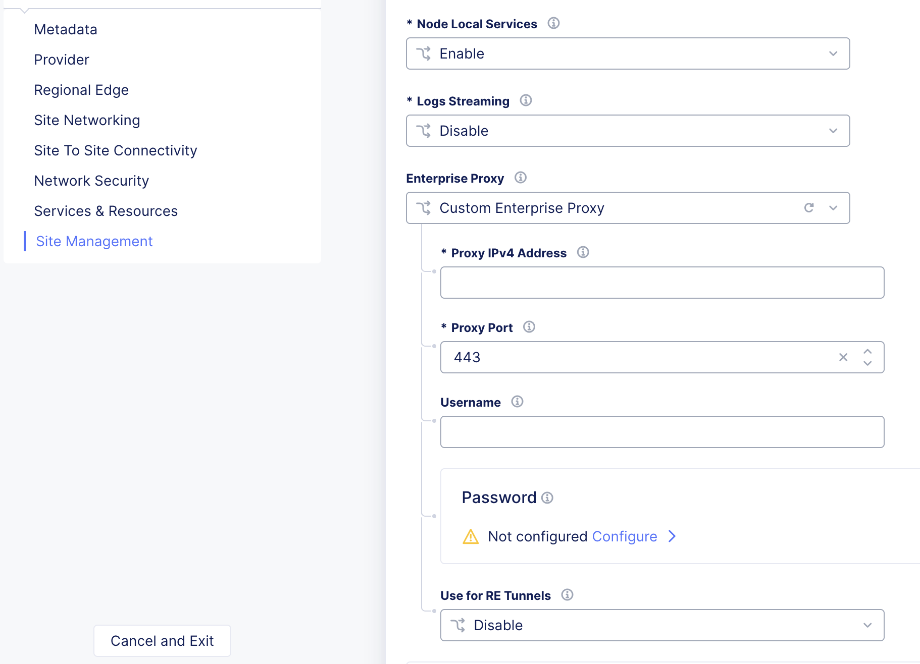 Figure: Configure Custom Proxy Server